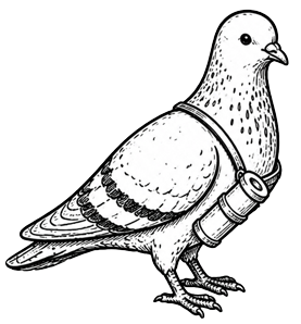 ink illustration of carrier pigeon